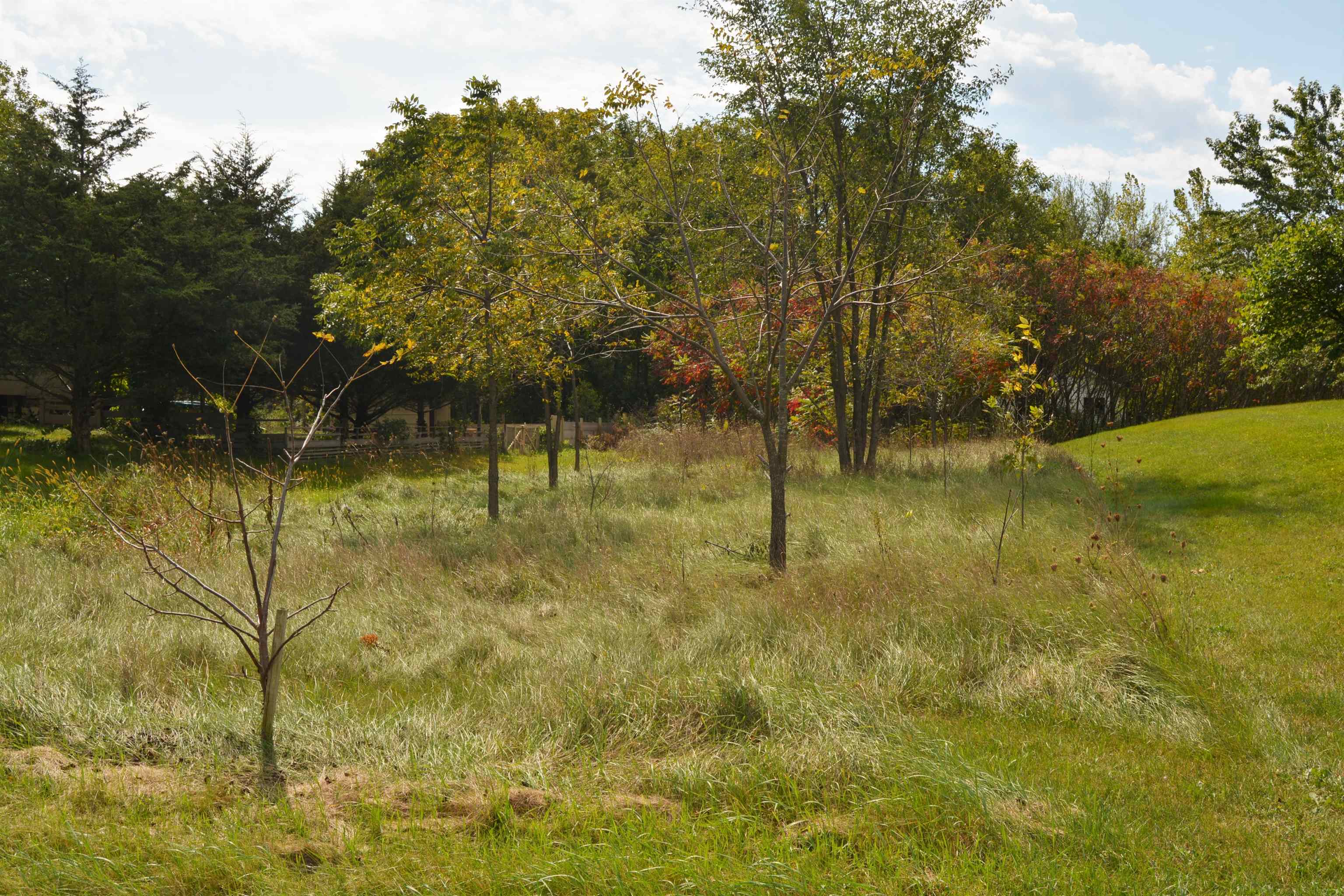 Lot 98 Jordan Spring Green Spring Green, WI 53588 - Photo 2 of 16