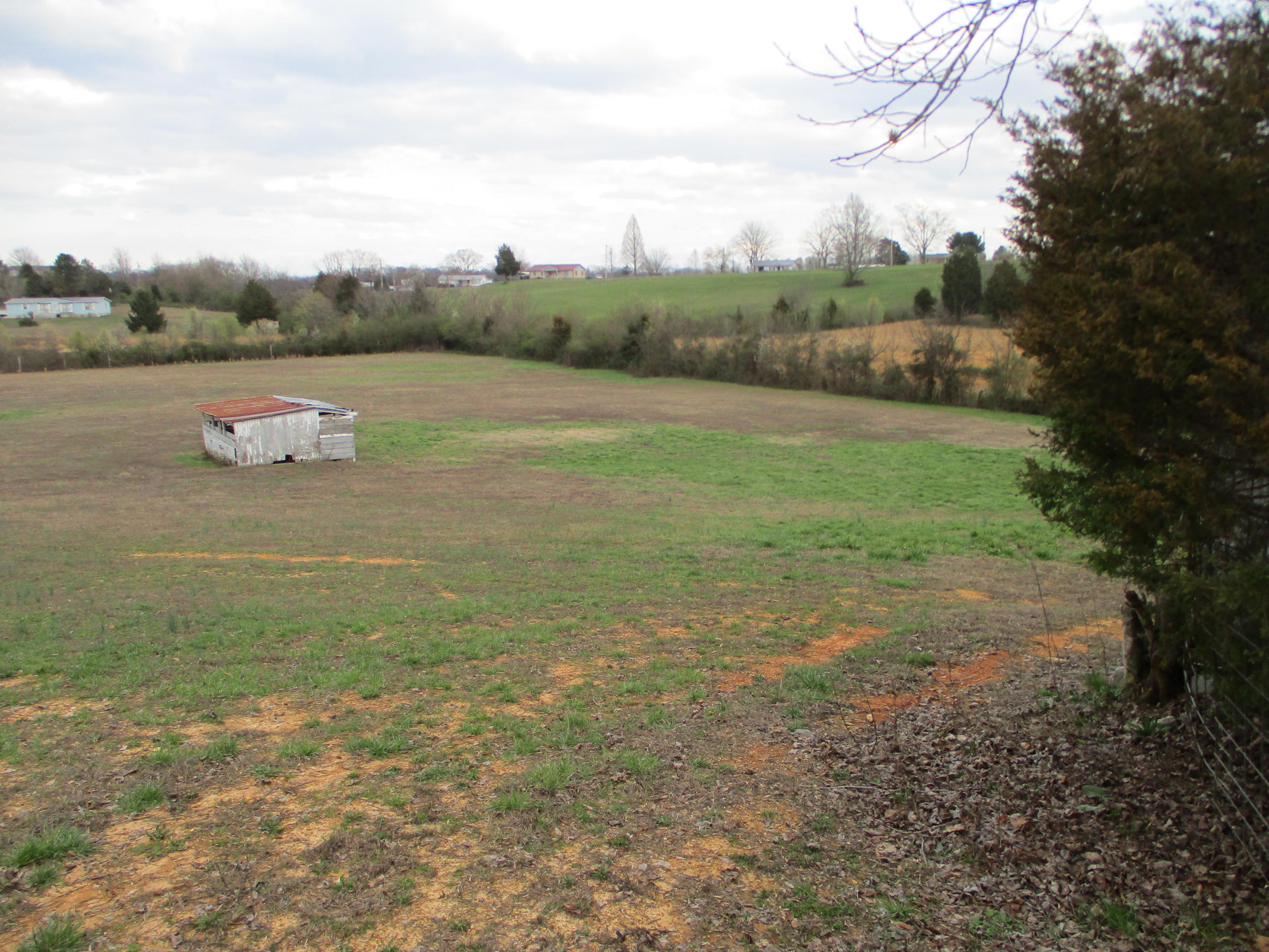302 Red Pond Road Sweetwater, TN 37874 - Photo 11 of 31 IMG_0289