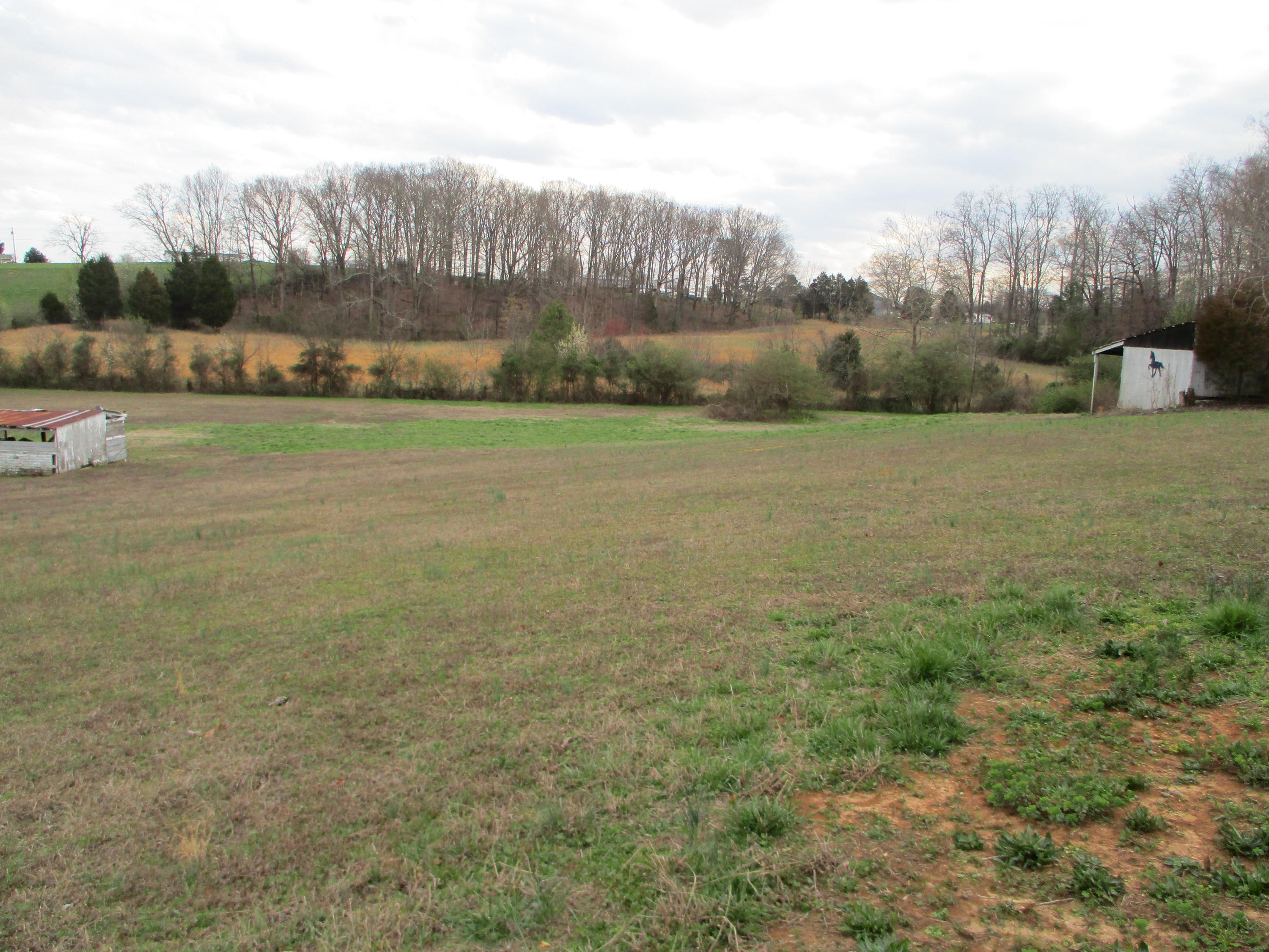 302 Red Pond Road Sweetwater, TN 37874 - Photo 13 of 31 IMG_0291