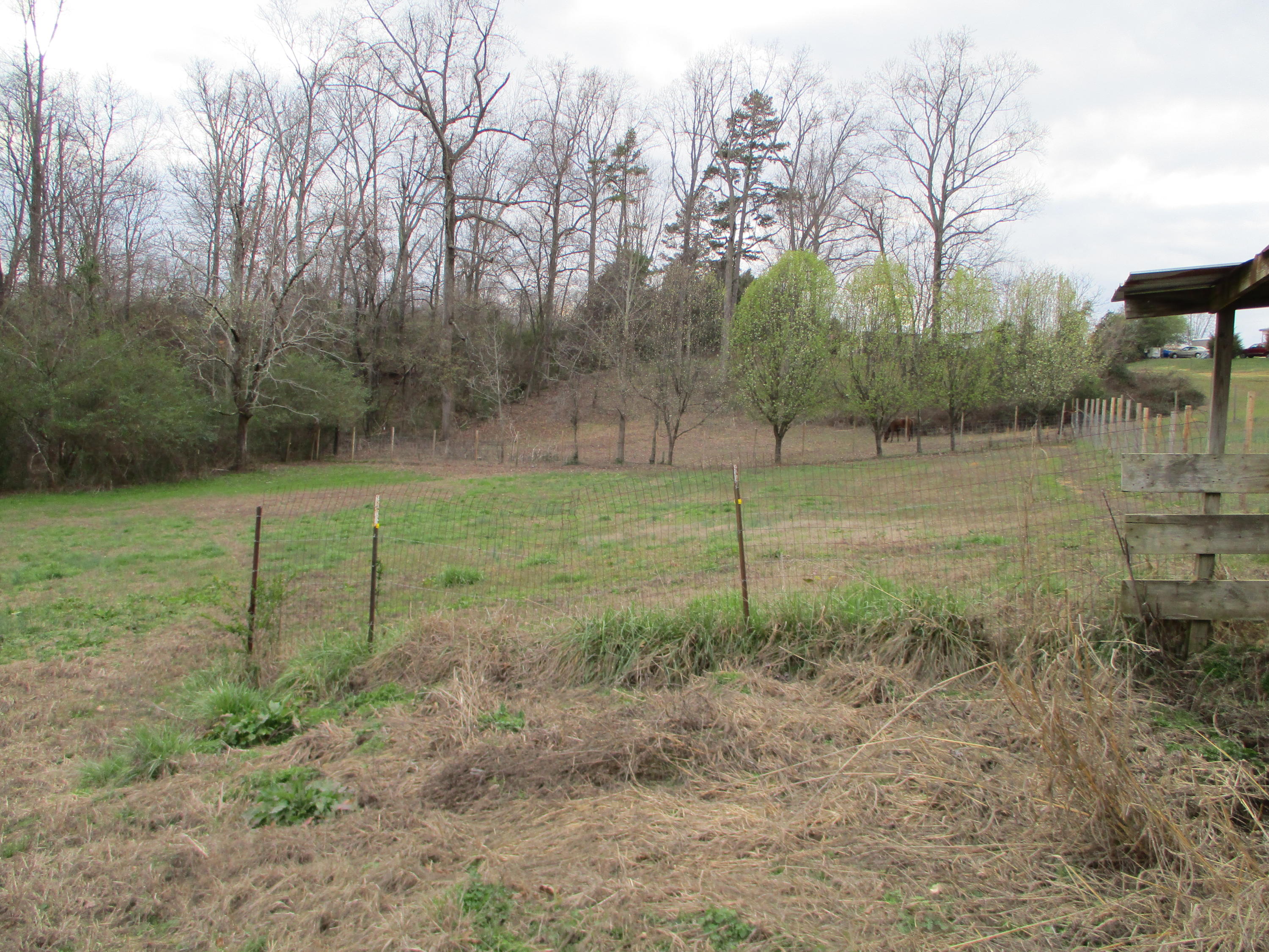 302 Red Pond Road Sweetwater, TN 37874 - Photo 14 of 31 IMG_0293