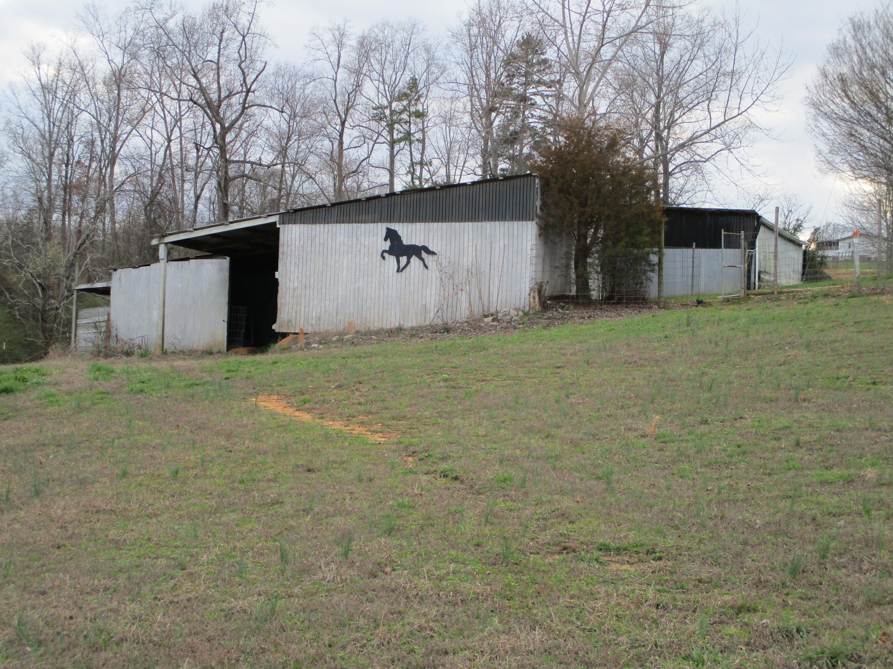 302 Red Pond Road Sweetwater, TN 37874 - Photo 8 of 31 IMG_0292