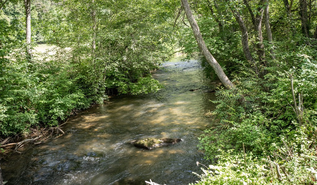 Tbd Ed Graves Road Murphy, NC 28906 - Photo 20 of 23