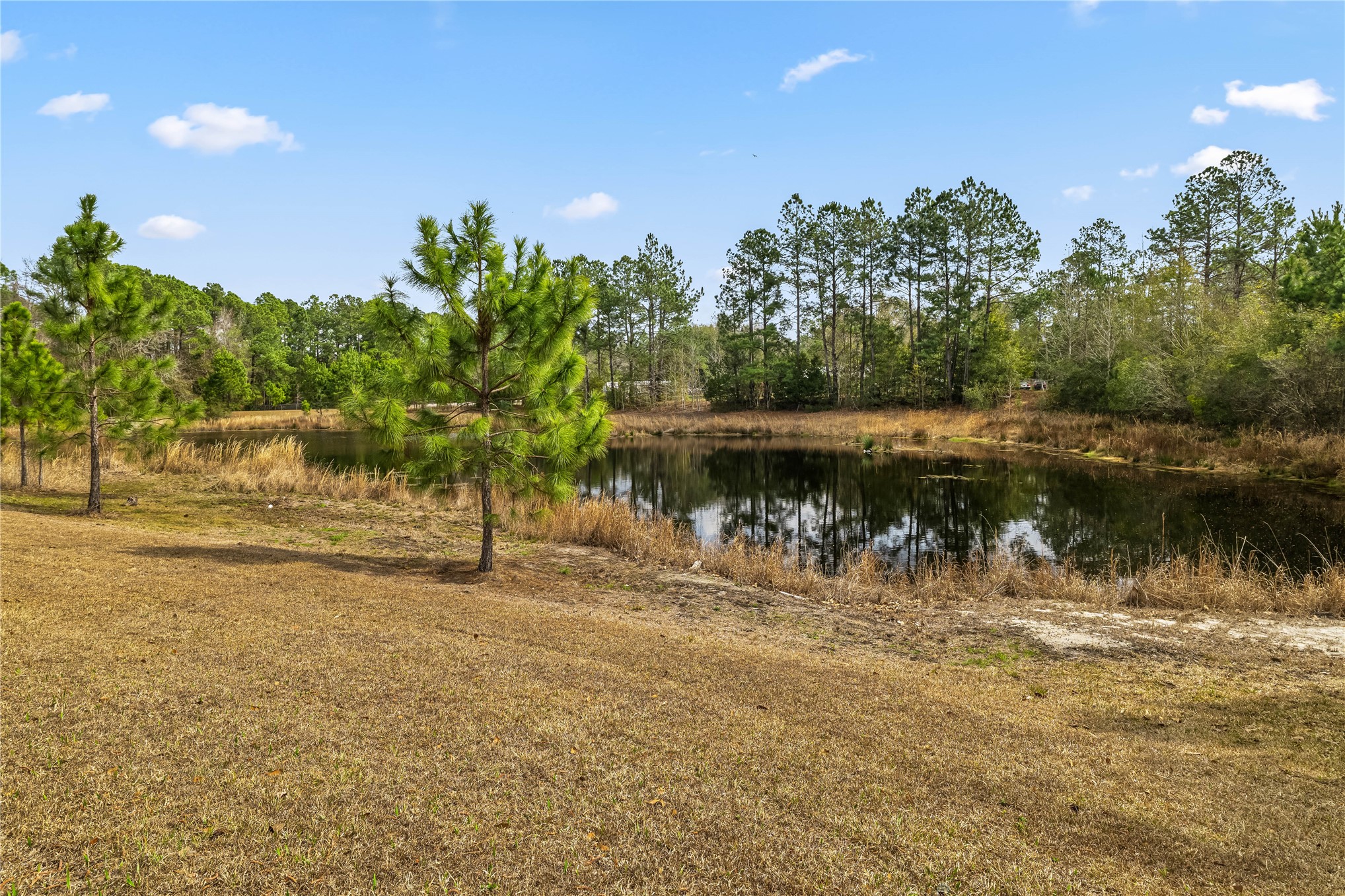 28208 Bow Tie Alley Hilliard, FL 32046 - Photo 12 of 39