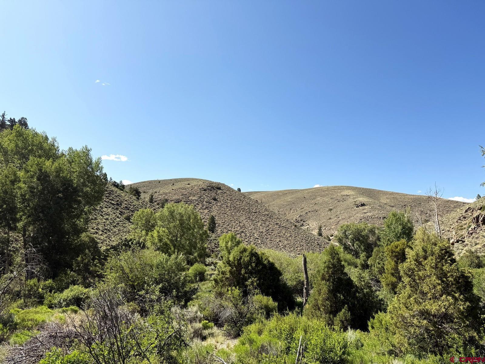 Tbd Tbd Alice Lode Mining Claim Gunnison, CO 81230 - Photo 2 of 10 a view of a mountain range with trees in the background