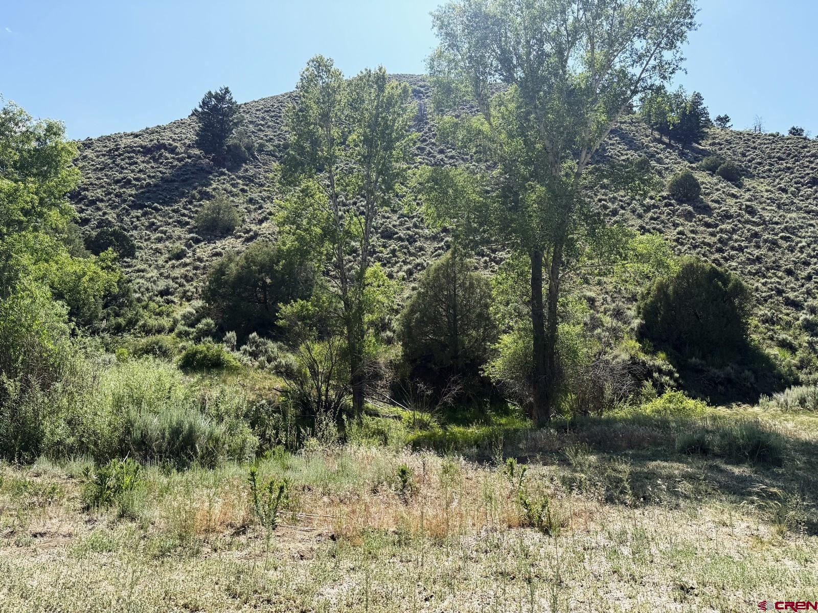 Tbd Tbd Alice Lode Mining Claim Gunnison, CO 81230 - Photo 5 of 10 a view of a lush green forest with lots of trees