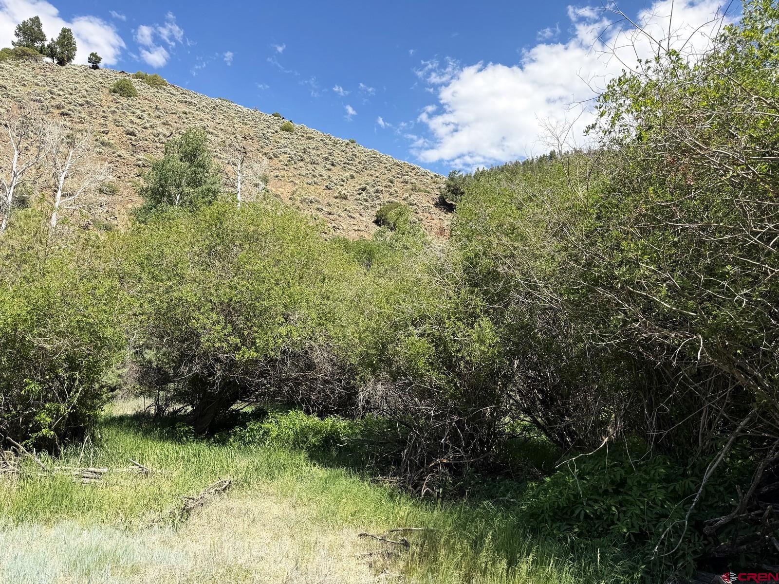 Tbd Tbd Alice Lode Mining Claim Gunnison, CO 81230 - Photo 6 of 10 a view of a garden