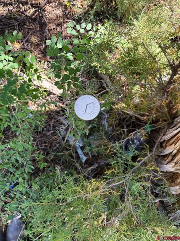 a aerial view of a backyard of a house