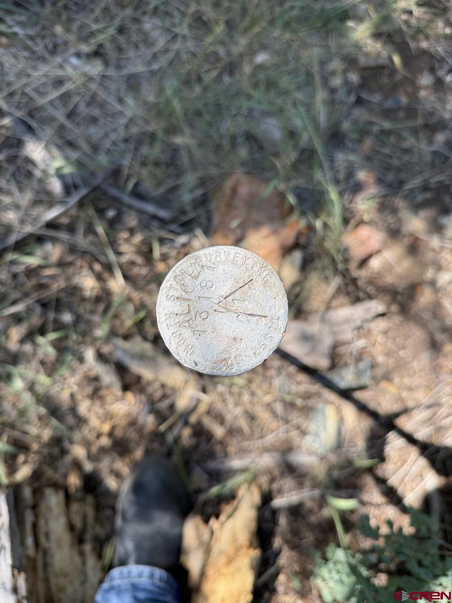 Tbd Tbd Alice Lode Mining Claim Gunnison, CO 81230 - Photo 10 of 10 a view of a backyard