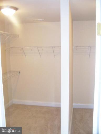 459 Canyon Road Winchester, VA 22602 - Photo 8 of 23 HUGE SPLIT MASTER CLOSET
