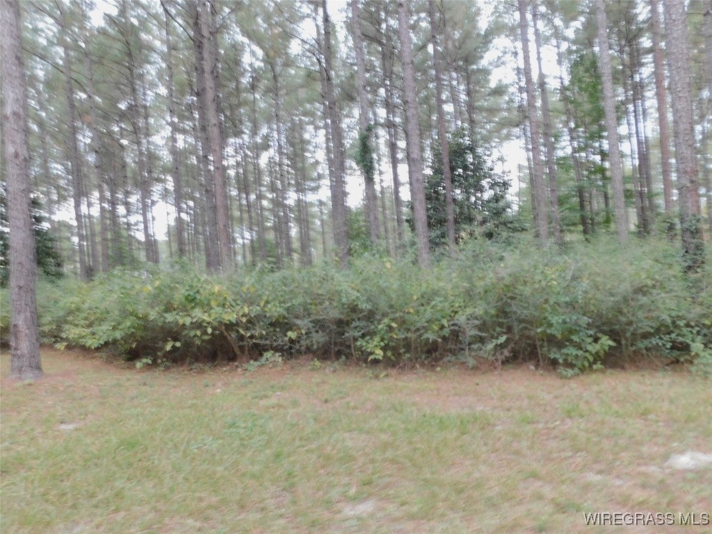 28374 Harbor Road Andalusia, AL 36421 - Photo 6 of 29 Gallery Image 6
