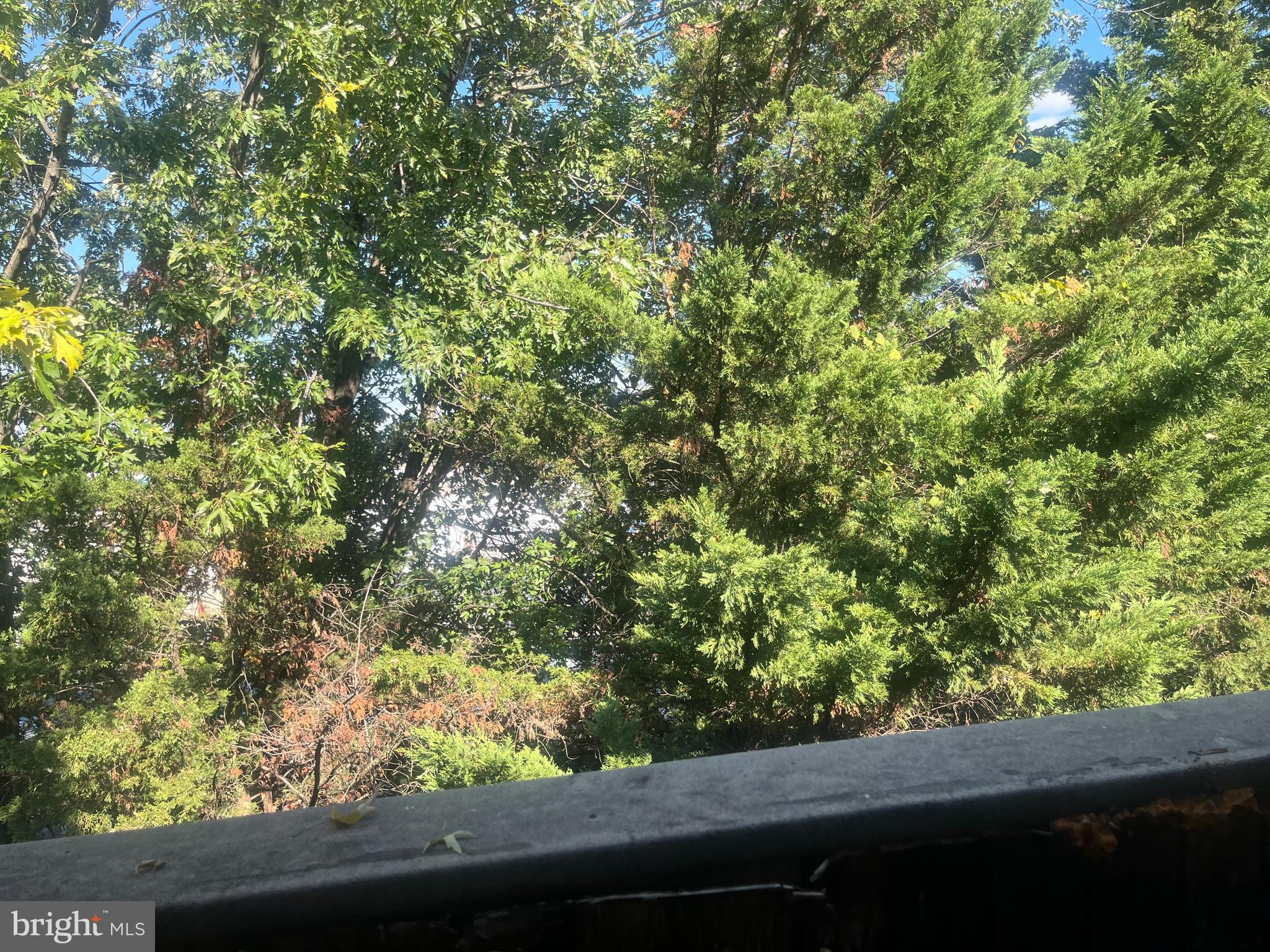 19621 Gunners Branch Road, Unit L Germantown, MD 20876 - Photo 2 of 3