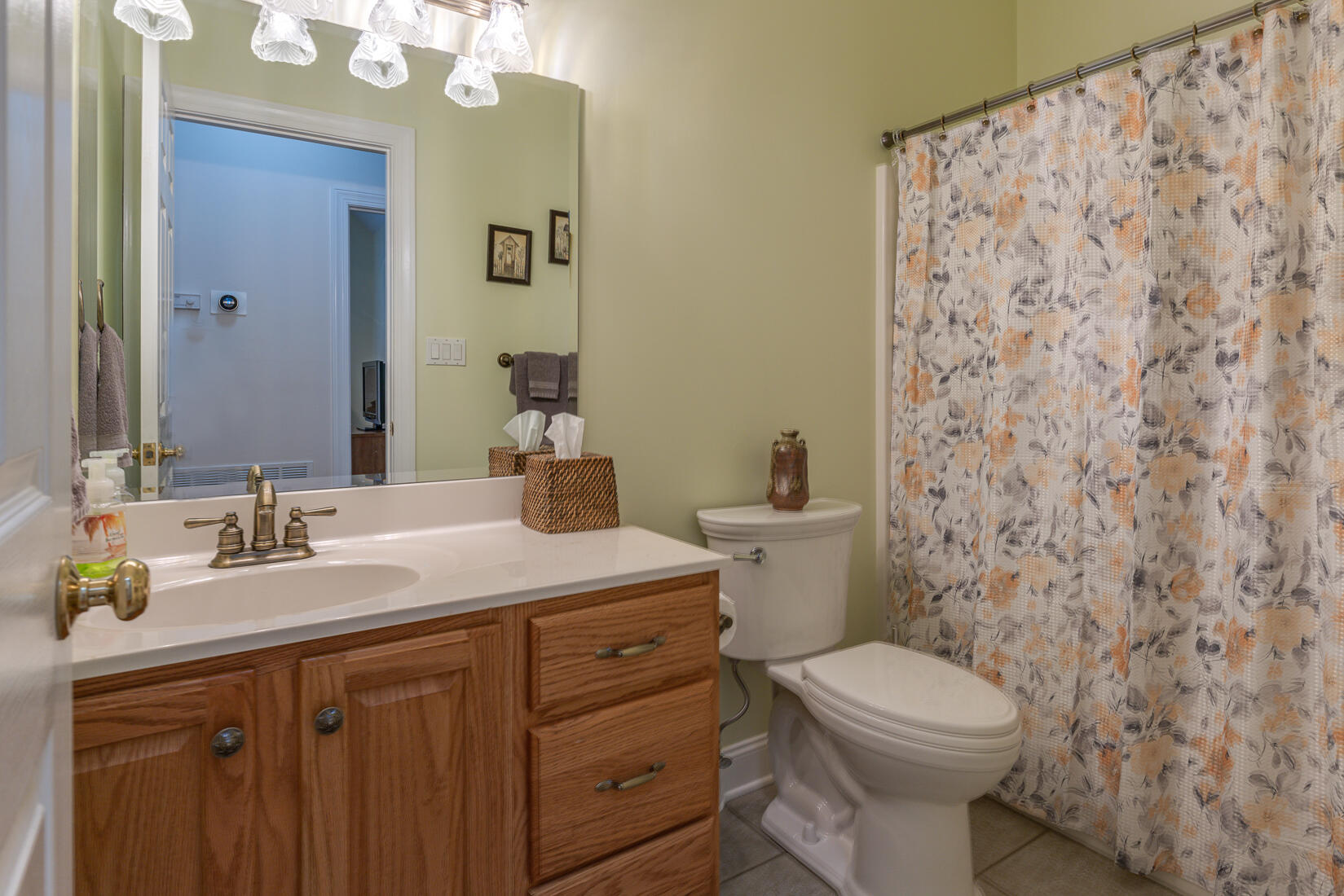 74 Chesney Place Blue Ridge, VA 24064 - Photo 37 of 71 a bathroom with a granite countertop toilet sink mirror and shower