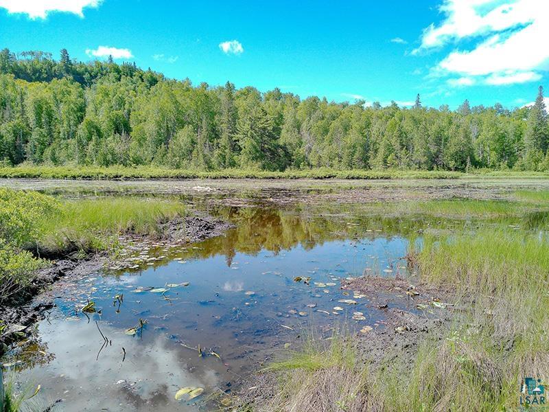 6975 Cramer Road Finland, MN 55603 - Photo 52 of 62