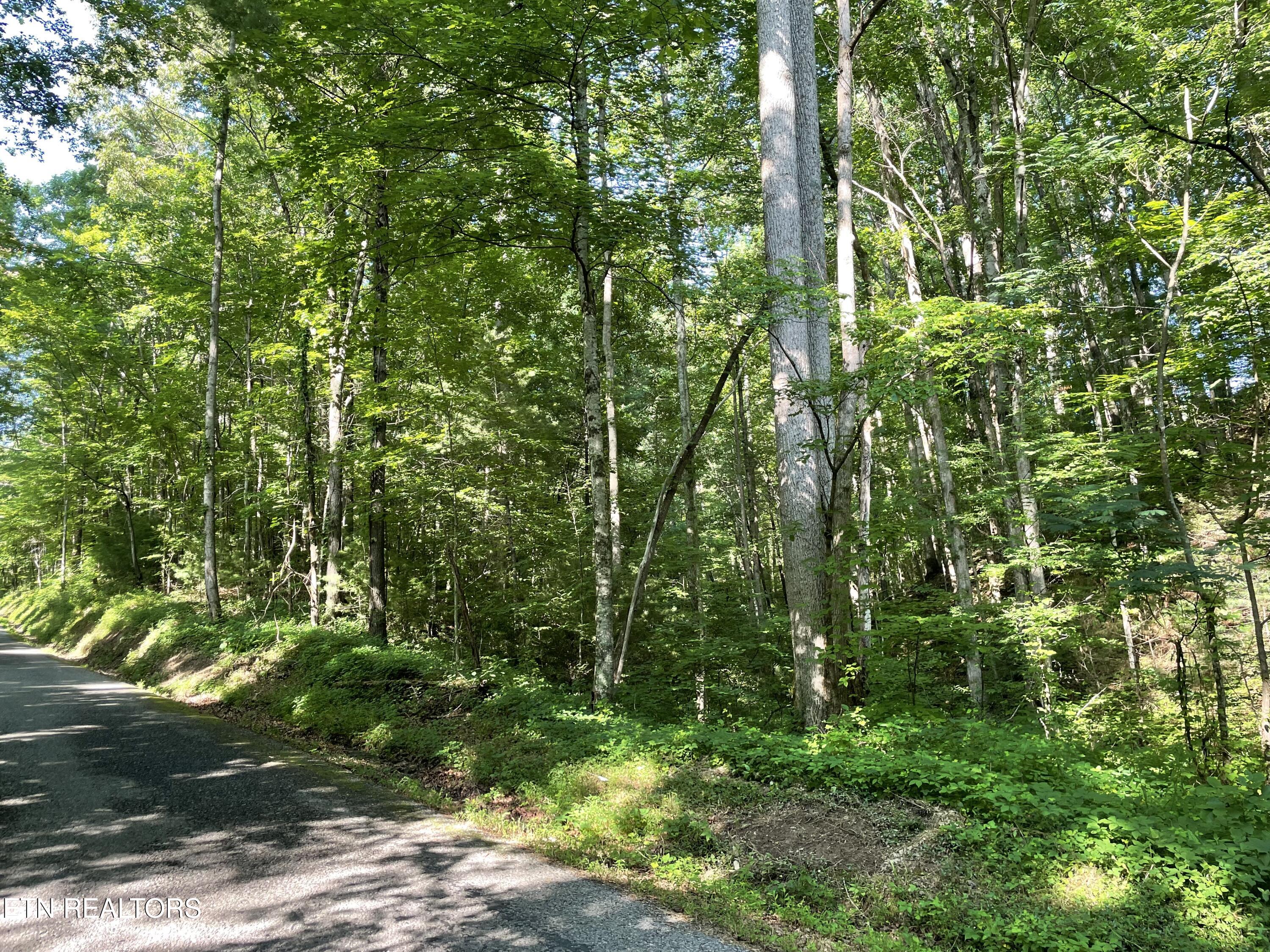 Creek Road Tellico Plains, TN 37385 - Photo 10 of 14 IMG_5117