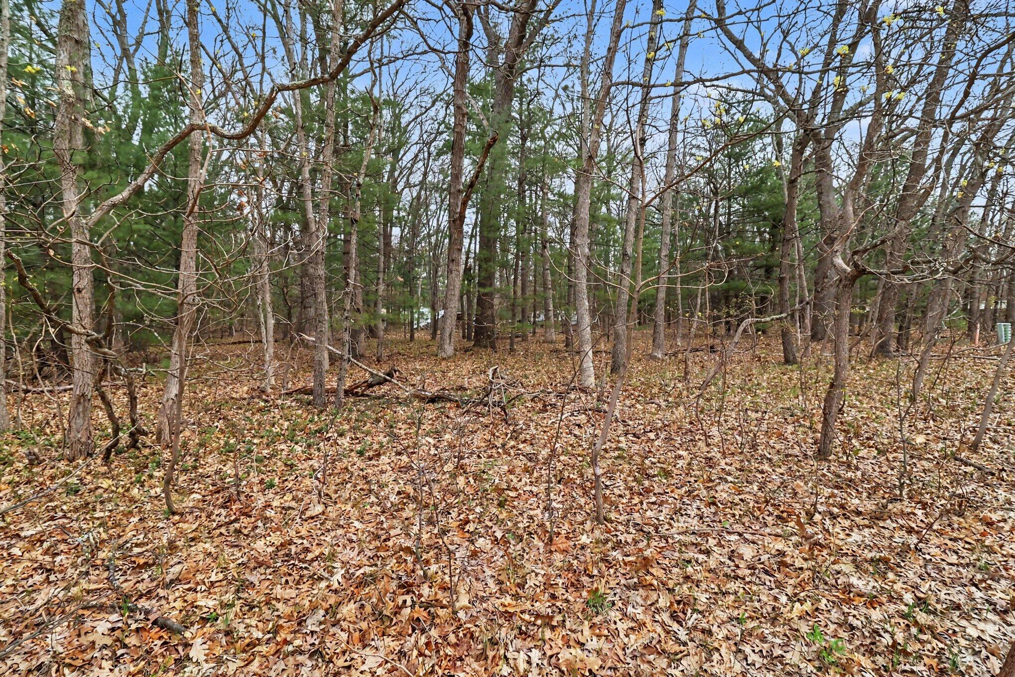 V/l East Catherine Road Fountain, MI 49410 - Photo 11 of 16 Imagine the peaceful backyard