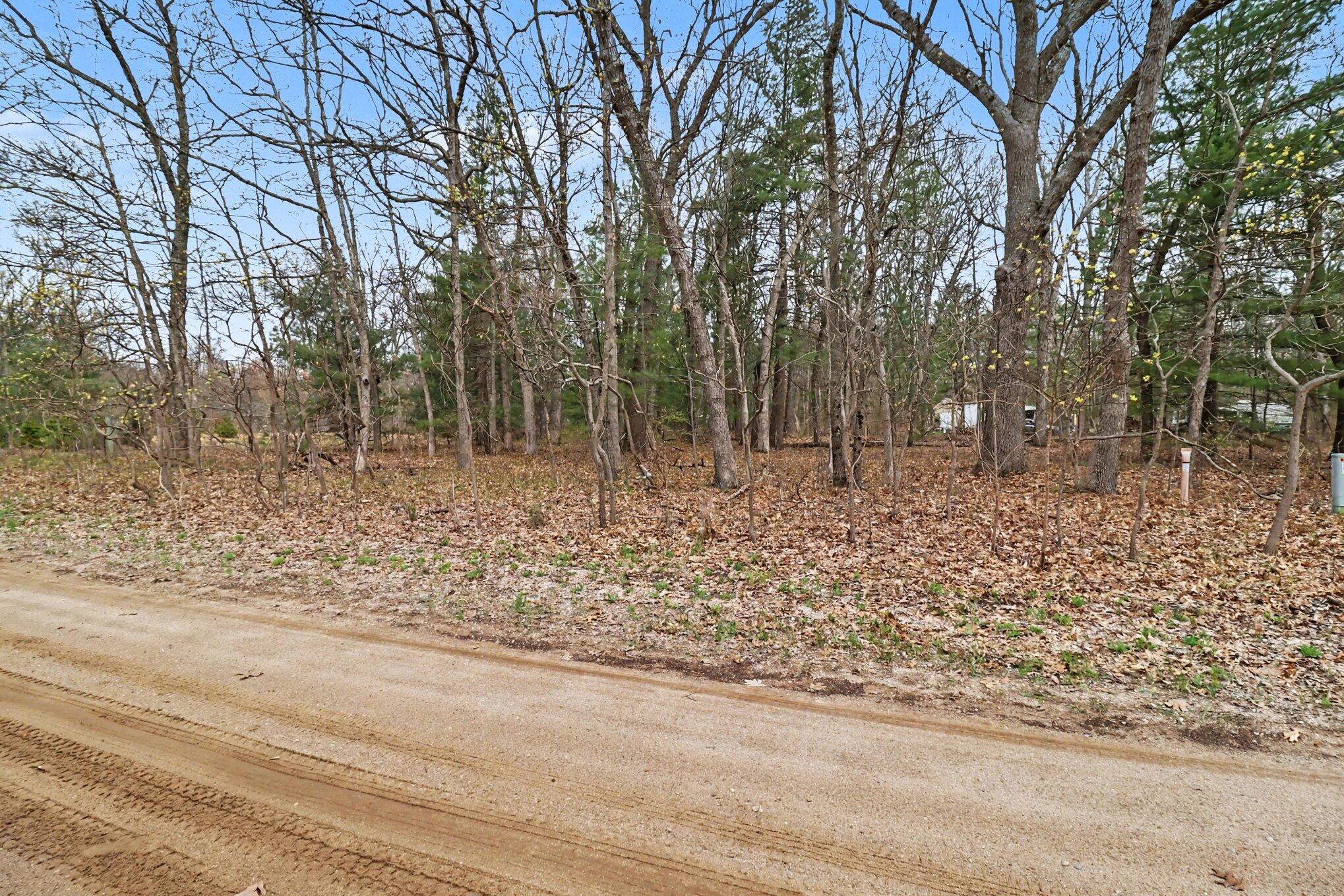 V/l East Catherine Road Fountain, MI 49410 - Photo 13 of 16 check it out!
