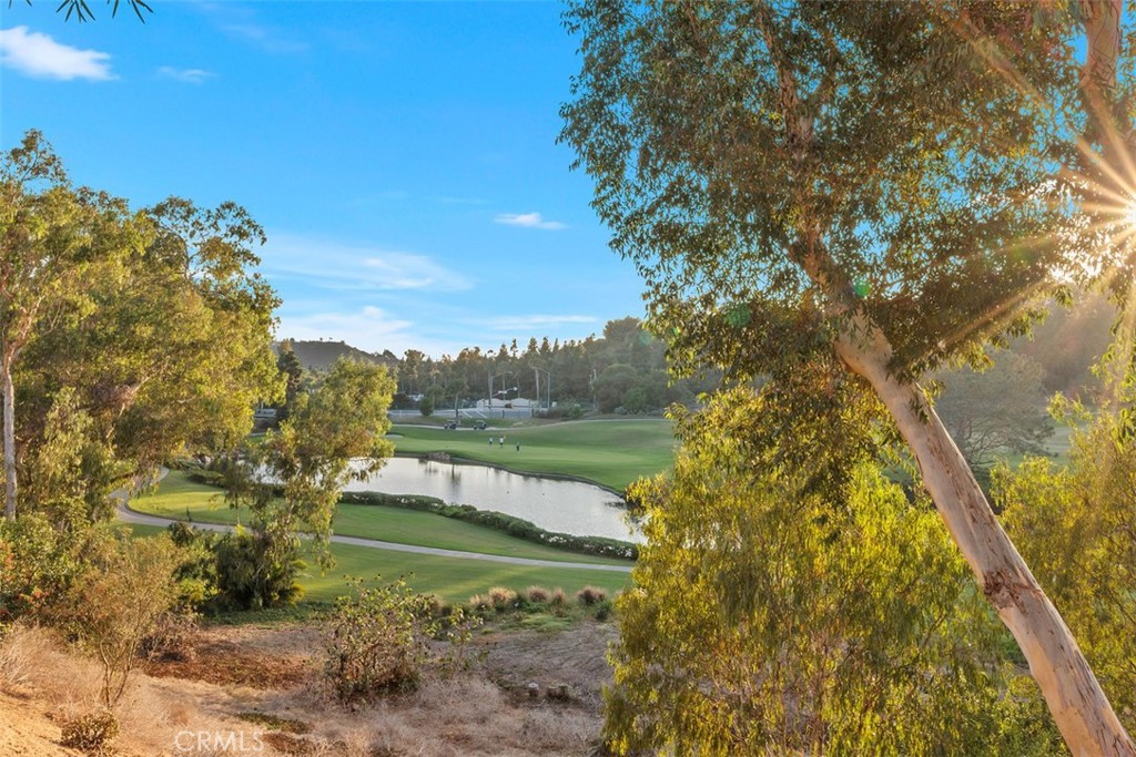 6819 Adolphia Drive Carlsbad, CA 92011 - Photo 15 of 40 a view of lake view with a garden