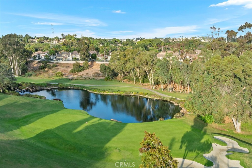 6819 Adolphia Drive Carlsbad, CA 92011 - Photo 8 of 40 a view of a lake with a yard