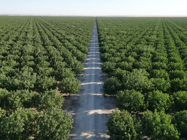 $13,472,585 | 0 Ave 16, Delano, CA 93215
