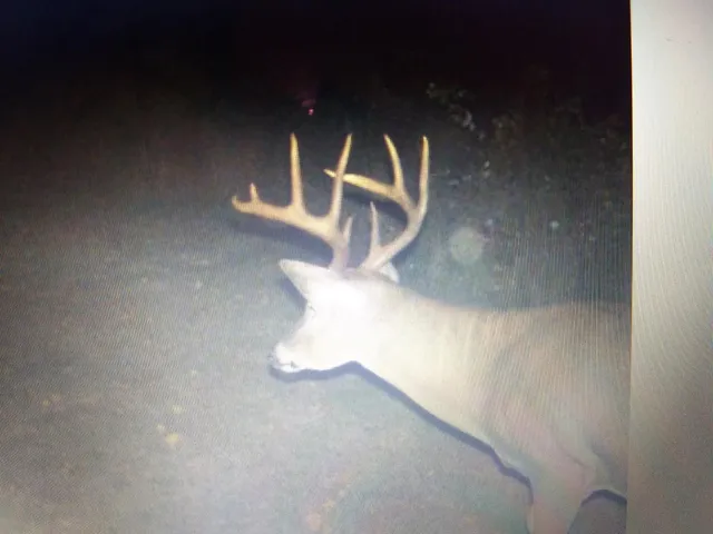 $210,000 | Tbd Billy Creek Road East, Big Falls, MN 56627