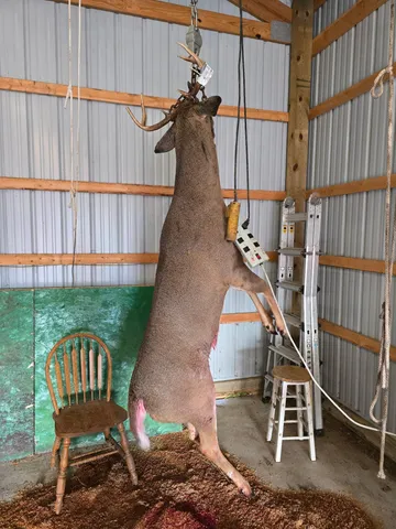 $210,000 | Tbd Billy Creek Road East, Big Falls, MN 56627