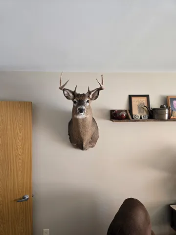 $210,000 | Tbd Billy Creek Road East, Big Falls, MN 56627