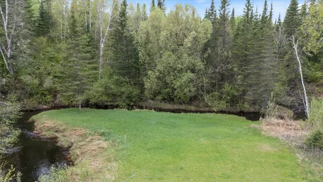 $210,000 | Tbd Billy Creek Road East, Big Falls, MN 56627