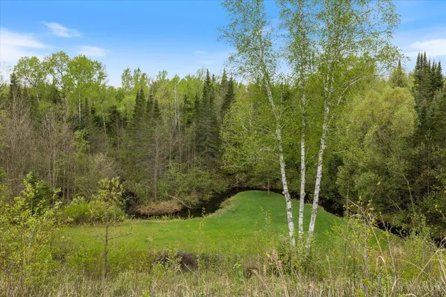$210,000 | Tbd Billy Creek Road East, Big Falls, MN 56627
