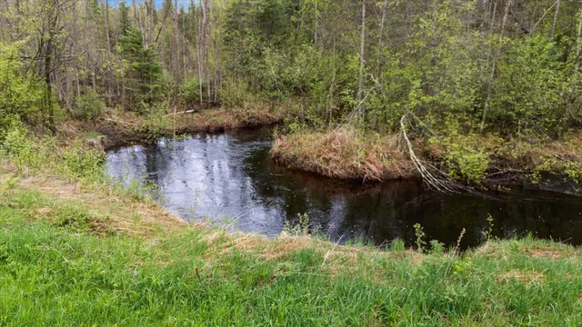 $210,000 | Tbd Billy Creek Road East, Big Falls, MN 56627