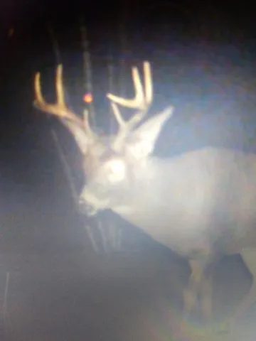 $210,000 | Tbd Billy Creek Road East, Big Falls, MN 56627