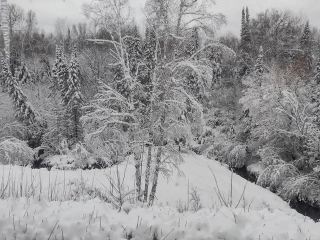 $210,000 | Tbd Billy Creek Road East, Big Falls, MN 56627