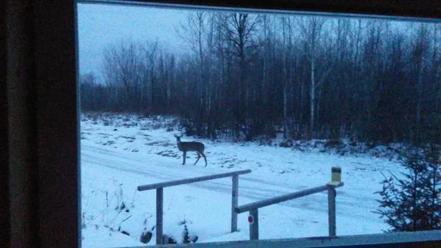 $210,000 | Tbd Billy Creek Road East, Big Falls, MN 56627