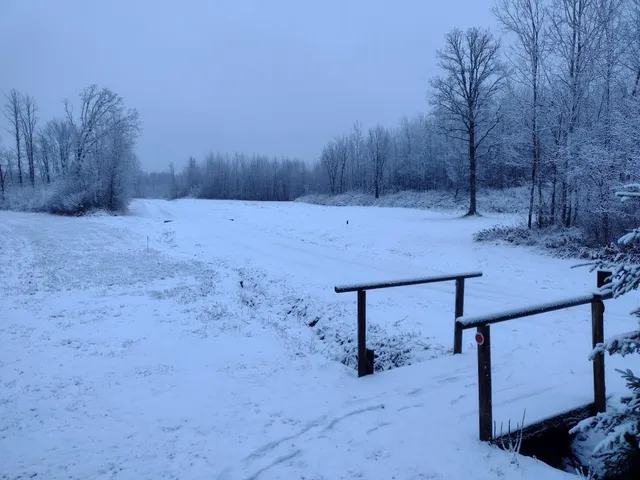 $210,000 | Tbd Billy Creek Road East, Big Falls, MN 56627