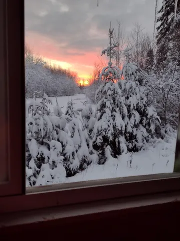 $210,000 | Tbd Billy Creek Road East, Big Falls, MN 56627