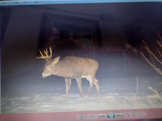 $210,000 | Tbd Billy Creek Road East, Big Falls, MN 56627