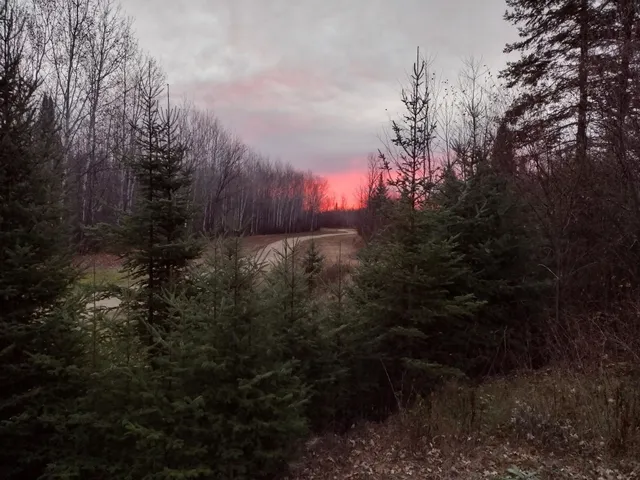 $210,000 | Tbd Billy Creek Road East, Big Falls, MN 56627