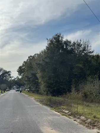 a view of road with trees