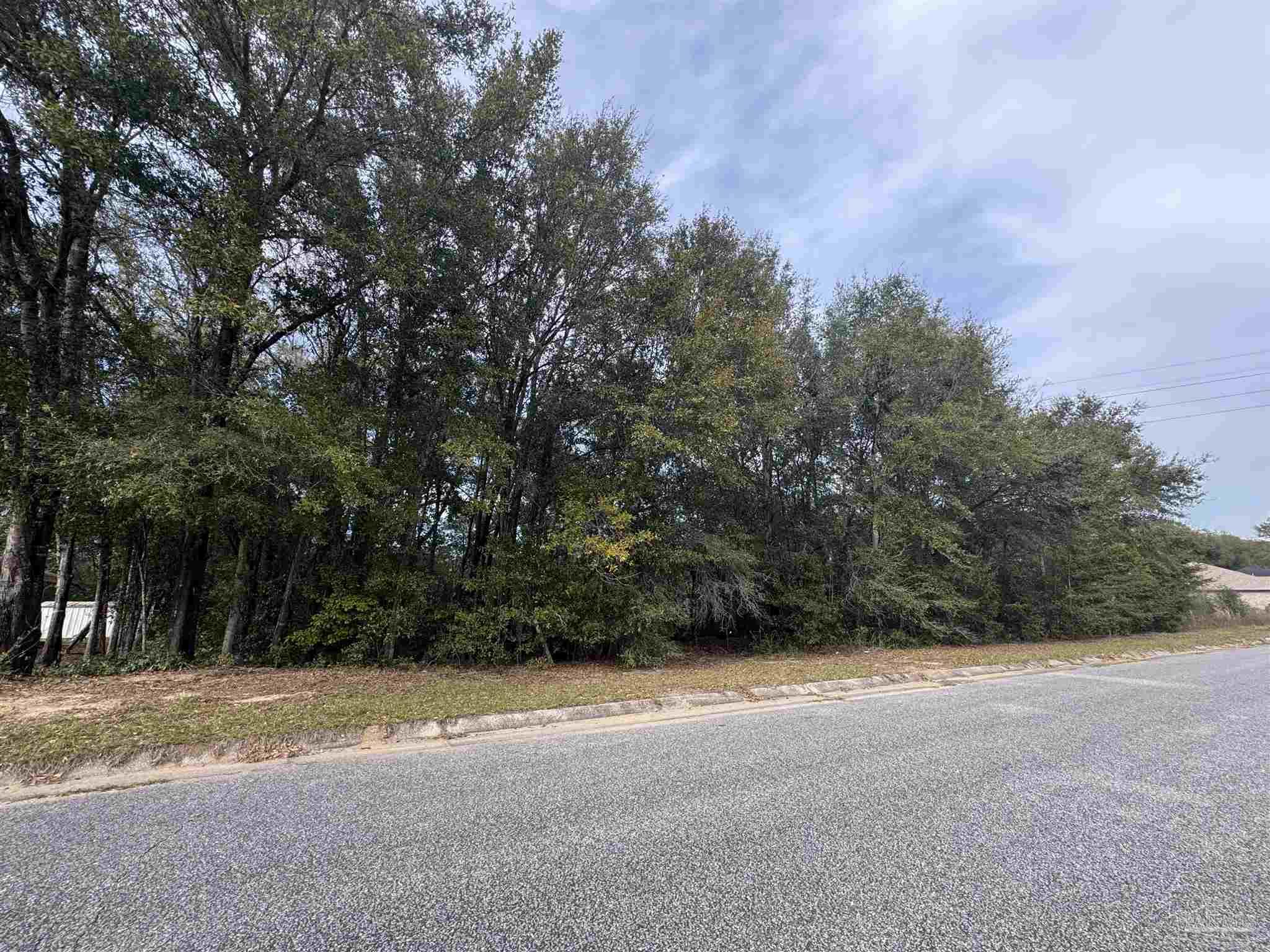 7078 Rampart Way Pensacola, FL 32505 - Photo 5 of 6 a view of road with trees