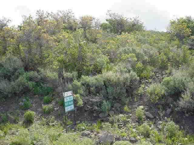 1062 Timberlane Loop Craig, CO 81625 - Photo 1 of 1 Primary Photo