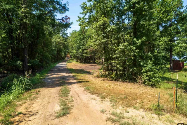 a view of a yard with trees
