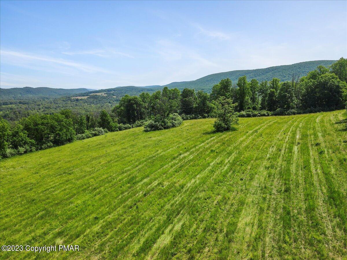 T409 Fetherman Street Stroudsburg, PA 18360 - Photo 2 of 11 a backyard of a house with lots of green space