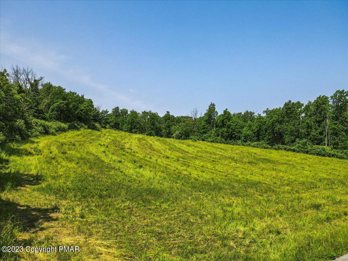 T409 Fetherman Street Stroudsburg, PA 18360 - Photo 3 of 11 a view of a field with an trees in the background