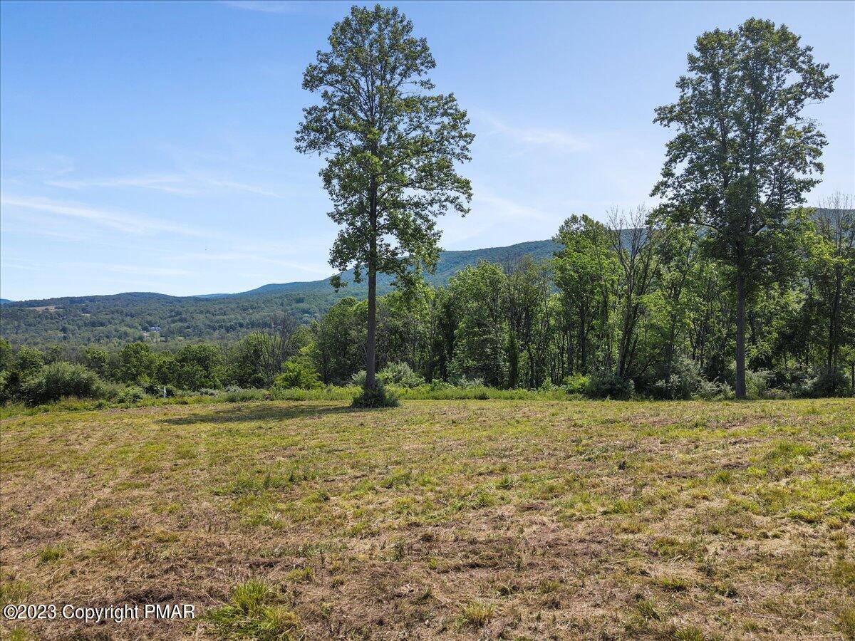T409 Fetherman Street Stroudsburg, PA 18360 - Photo 6 of 11 a view of a field with a tree