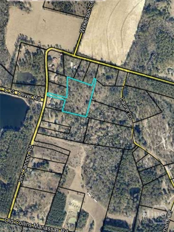 0 Jim Cannon Road Collins, GA 30421 - Photo 1 of 6