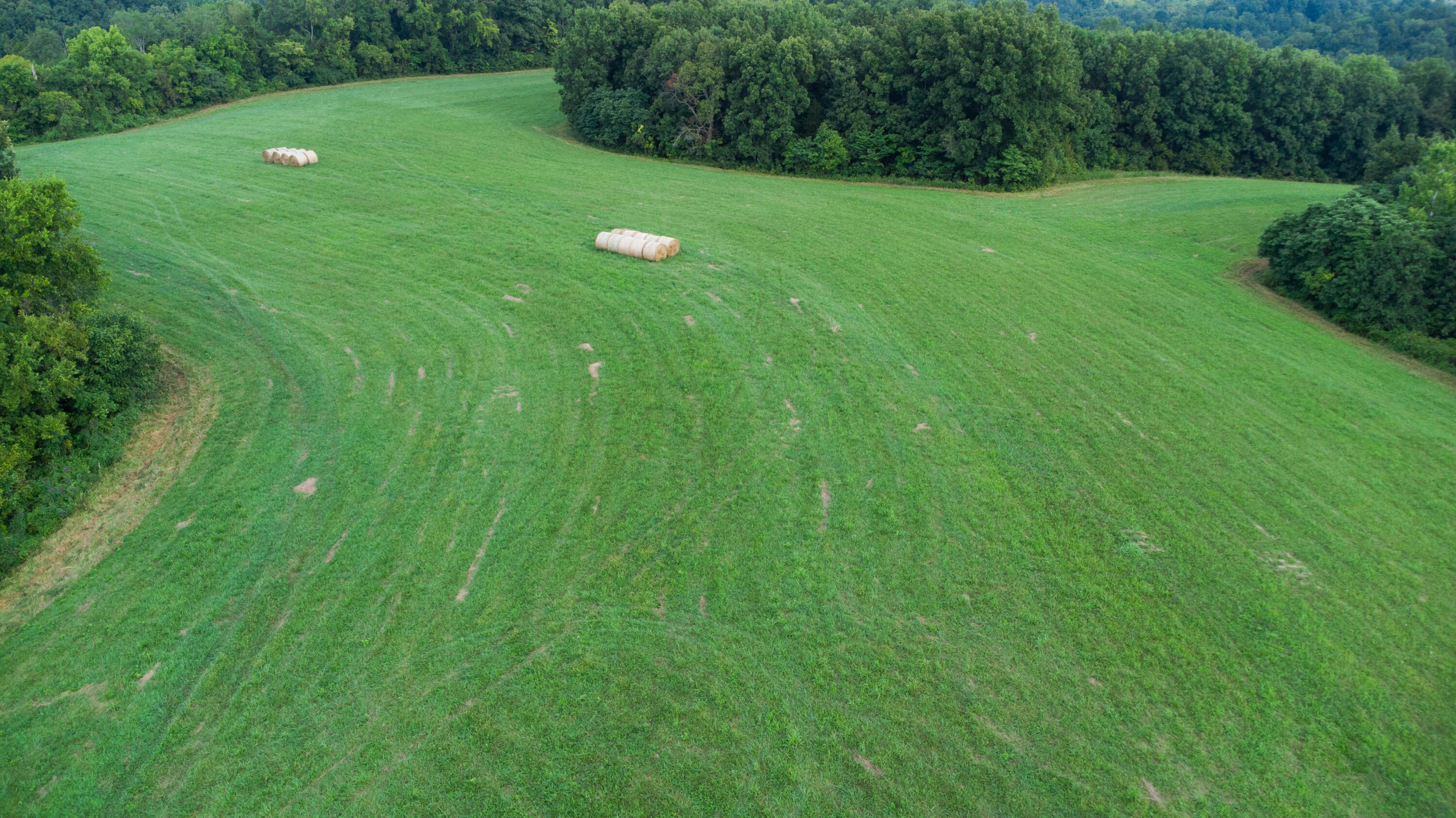 4095 Warsaw Road Dry Ridge, KY 41035 - Photo 28 of 48