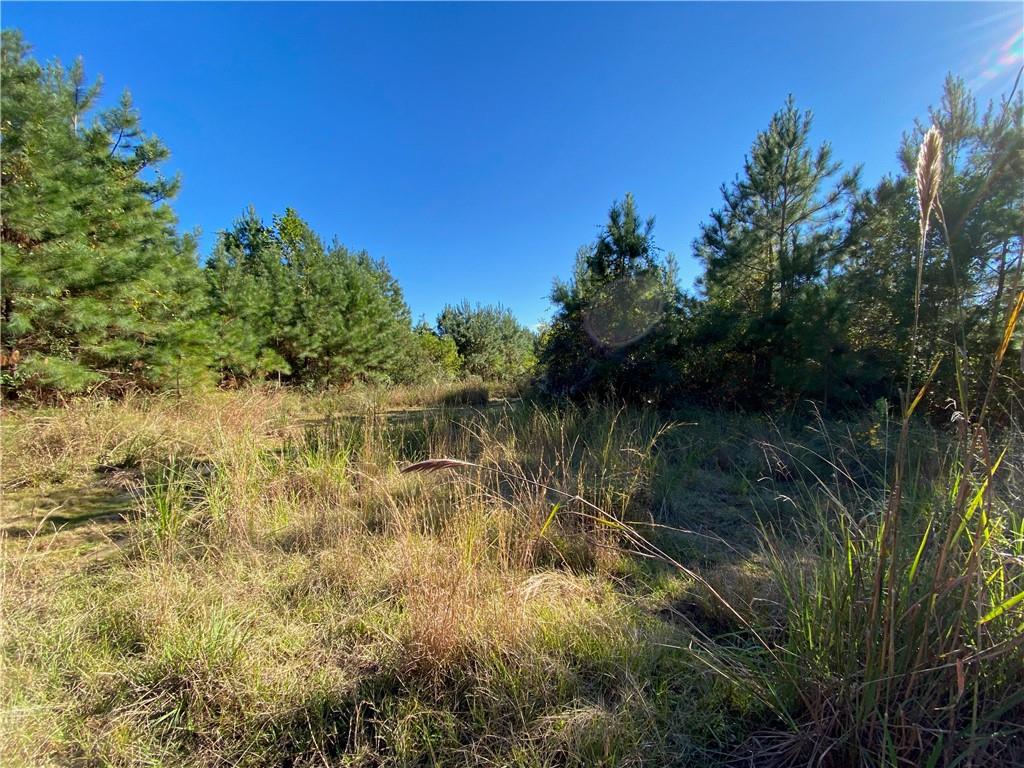 0 North Corbin Road Walker, LA 70785 - Photo 1 of 30 Gallery Image 1