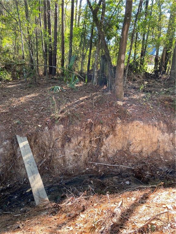 0 North Corbin Road Walker, LA 70785 - Photo 11 of 30 Gallery Image 11