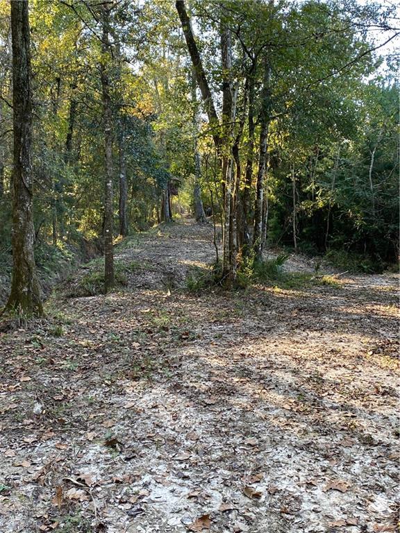 0 North Corbin Road Walker, LA 70785 - Photo 13 of 30 Gallery Image 13