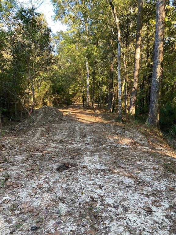0 North Corbin Road Walker, LA 70785 - Photo 14 of 30 Gallery Image 14