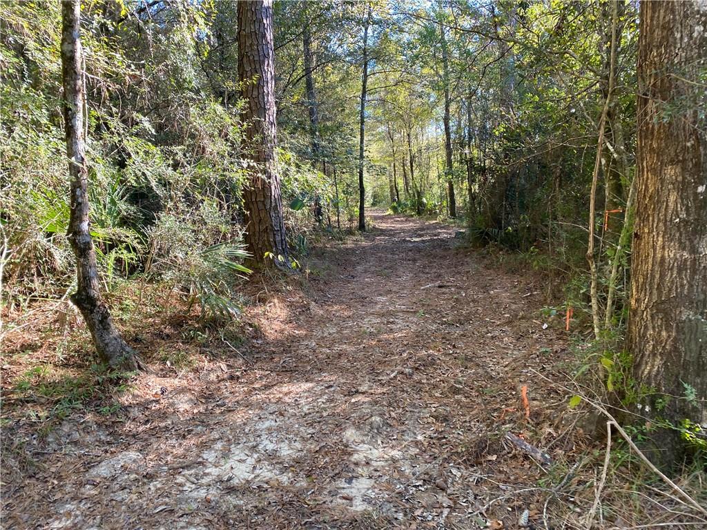 0 North Corbin Road Walker, LA 70785 - Photo 15 of 30 Gallery Image 15